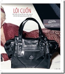 Catalog19-5