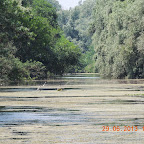 DSCN8348.JPG