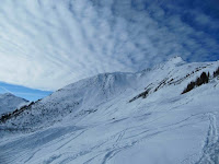 IMG_3929.jpg