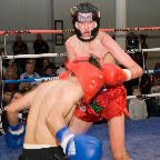 _1220259-crop.jpg