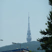 P1000763.JPG