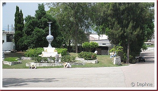 IMG_3643 IMG_3643