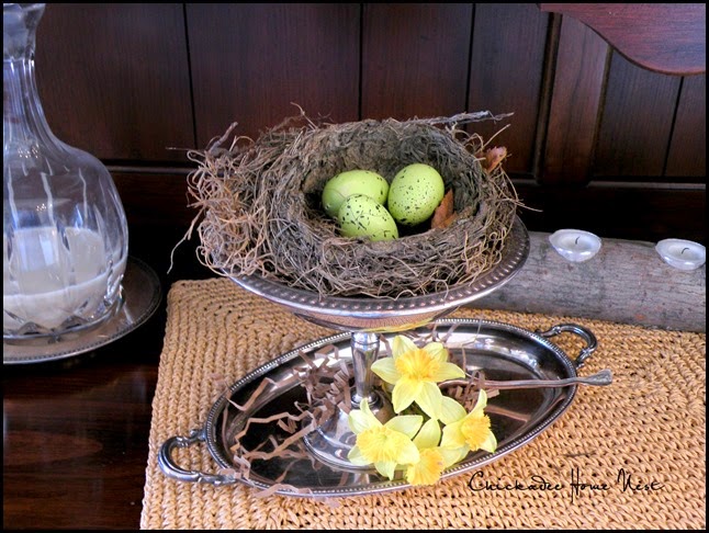 Chickadee Home Nest