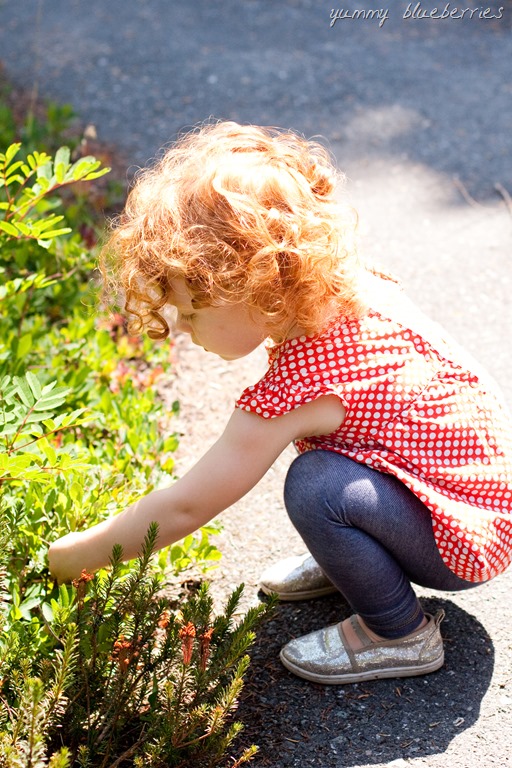 [20130810-IMG_4773%255B13%255D.jpg]