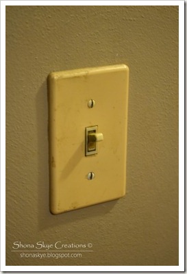 Shona Skye Creations - Bakelite Switch Covers 2013-01-09 005
