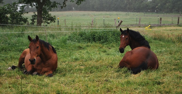 [DSC_0060%255B4%255D.jpg]