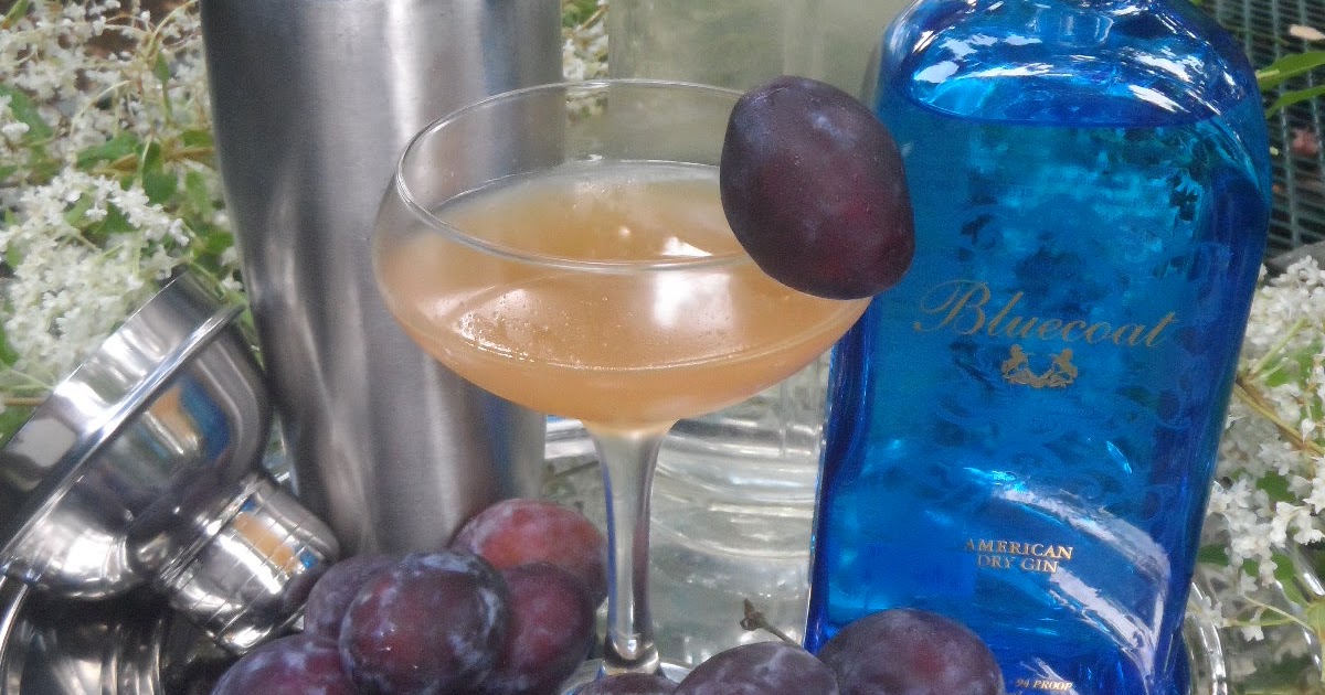 Dinner Planit Plum Good Gin & Tonic!