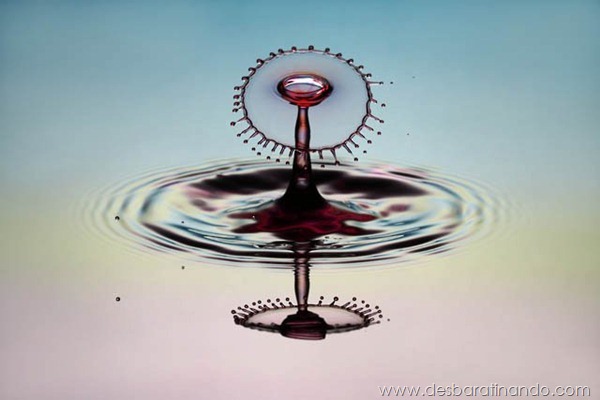 liquid-drop-art-gotas-caindo-foto-velocidade-hora-certa-desbaratinando (167) liquid-drop-art-gotas-caindo-foto-velocidade-hora-certa-desbaratinando (167)