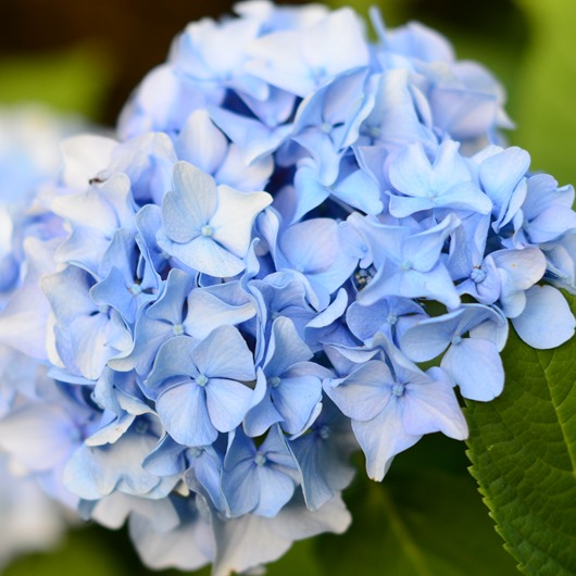 [DSC_9263%255B6%255D.jpg]