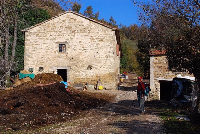 [4CMazzi23.jpg]