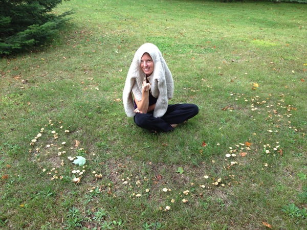 Fairy ring mushrooms