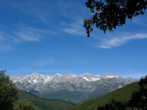 P1000280.JPG
