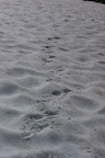 DSC03336.JPG