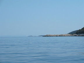 IMG_0005.jpg