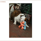 bleecker6ave.4.jpg