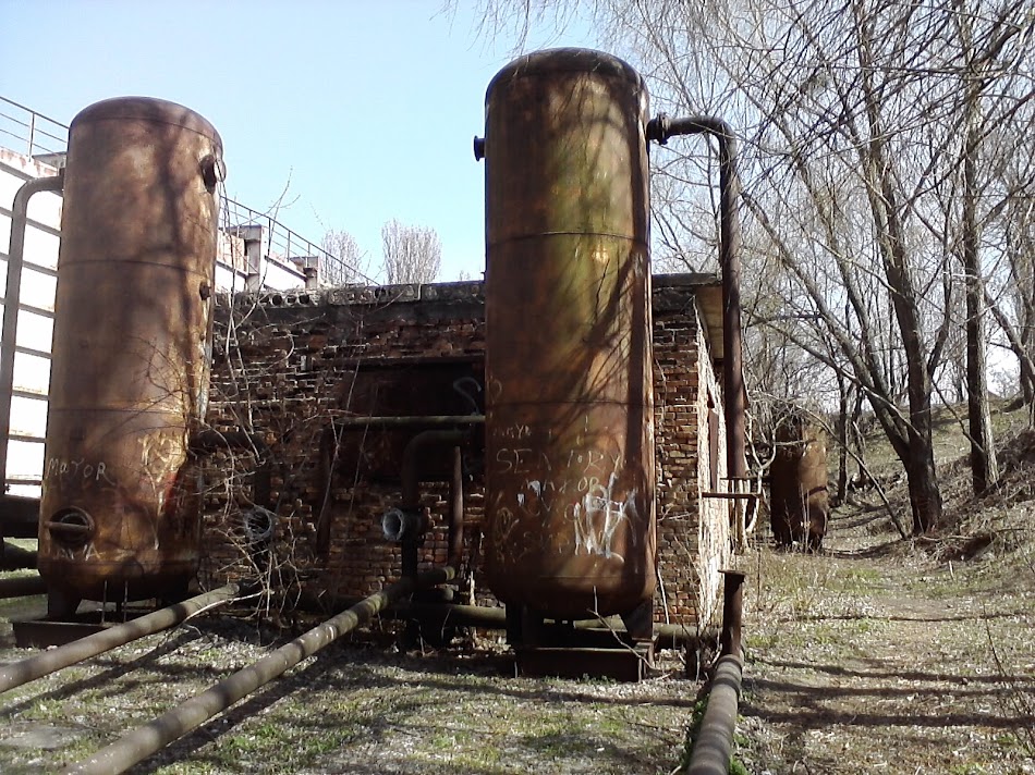 P160411_14.12.jpg