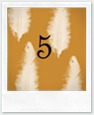 5 5