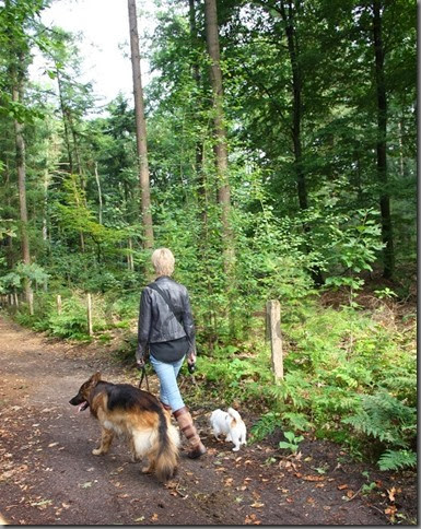 wandelen wandelen