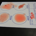 DSCN5540.JPG