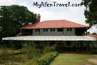 IMG_9818 IMG_9818