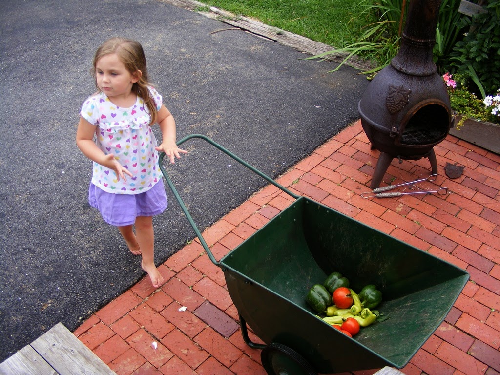 [DSCF4499%255B5%255D.jpg]