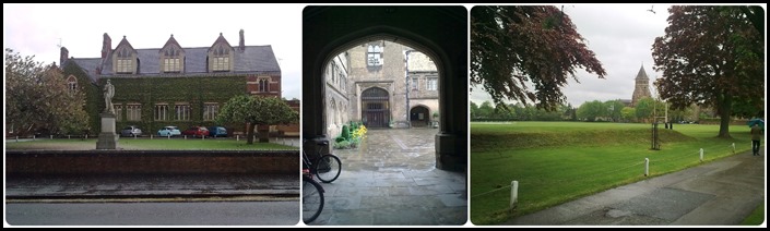 D rugby School D rugby School