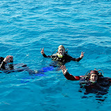 DSC_5135.JPG