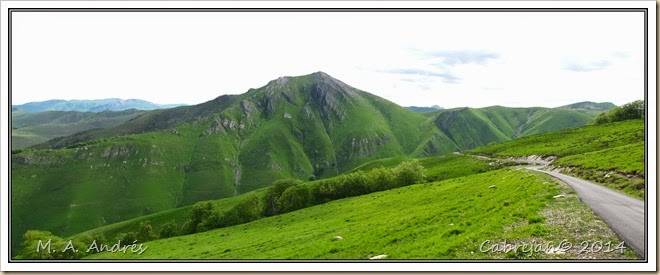 pano1 pano1