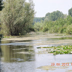 DSCN8295.JPG