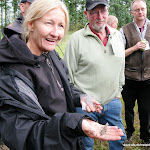 Bifrost detektortræf 2011 Allan Faurskov-1.JPG