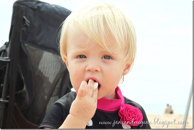 eating shells eating shells