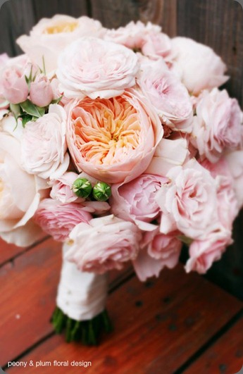 222938_10150244967537813_137899422812_8720929_1952662_n peony & plum 222938_10150244967537813_137899422812_8720929_1952662_n peony & plum