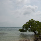 Isla Múcura Isla Múcura