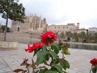 blomma!