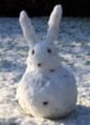 Snowrabbit Snowrabbit