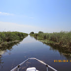 IMG_5715.JPG