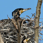 IMG_0848-Crop 1.jpg