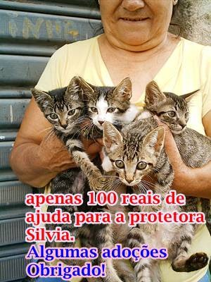 [100%2520reais%2520de%2520ajuda%255B2%255D.jpg]