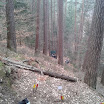 2013-03-30 10.22.21.jpg