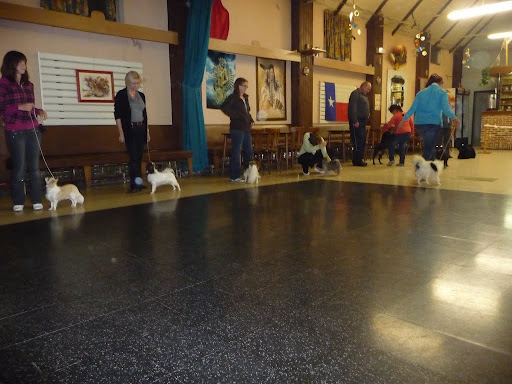 Ringtraining Gijzegem 2010