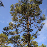 Stockholm - 2 Tag 127.jpg