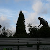Tannenbaumaktion 08_758.jpg
