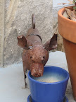 ...And pigs...