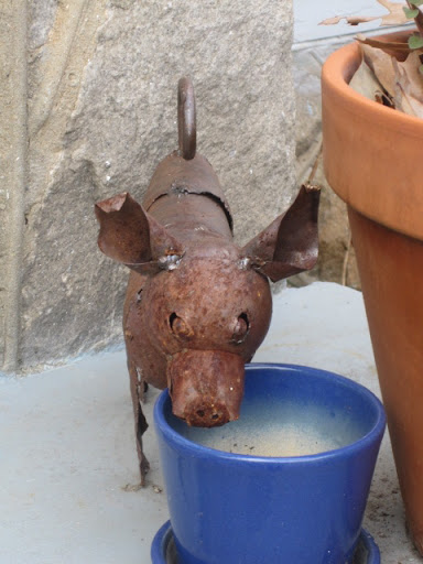 ...And pigs...