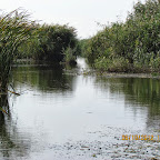 IMG_8175.JPG