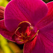 044_edited-1.jpg