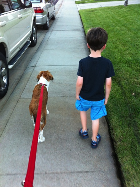 walk.jpg Walk