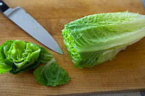grilled-romaine-lettuce-1.jpg