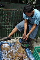 pinoyecofarm vermicomposting seminar _0066.JPG