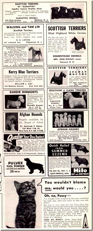 scotties (2) scotties (2)